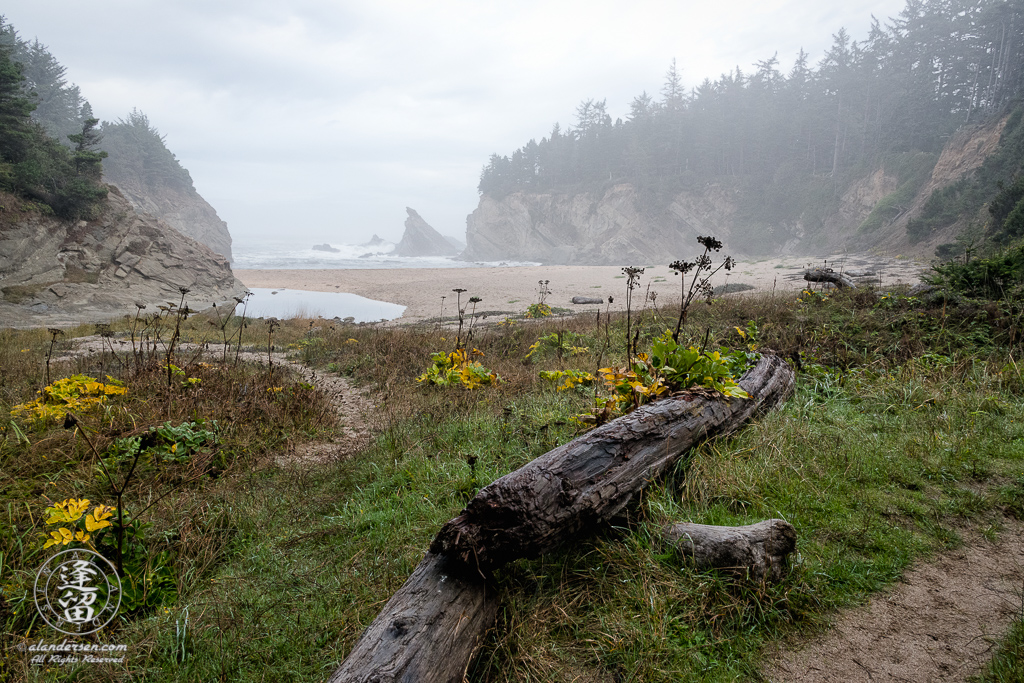 Secluded Simpson Beach on a wet and misty morning, just below Shore Acres State Park outside of Charleston in Oregon.