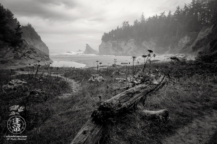 Secluded Simpson Beach on a wet and misty morning, just below Shore Acres State Park outside of Charleston in Oregon.