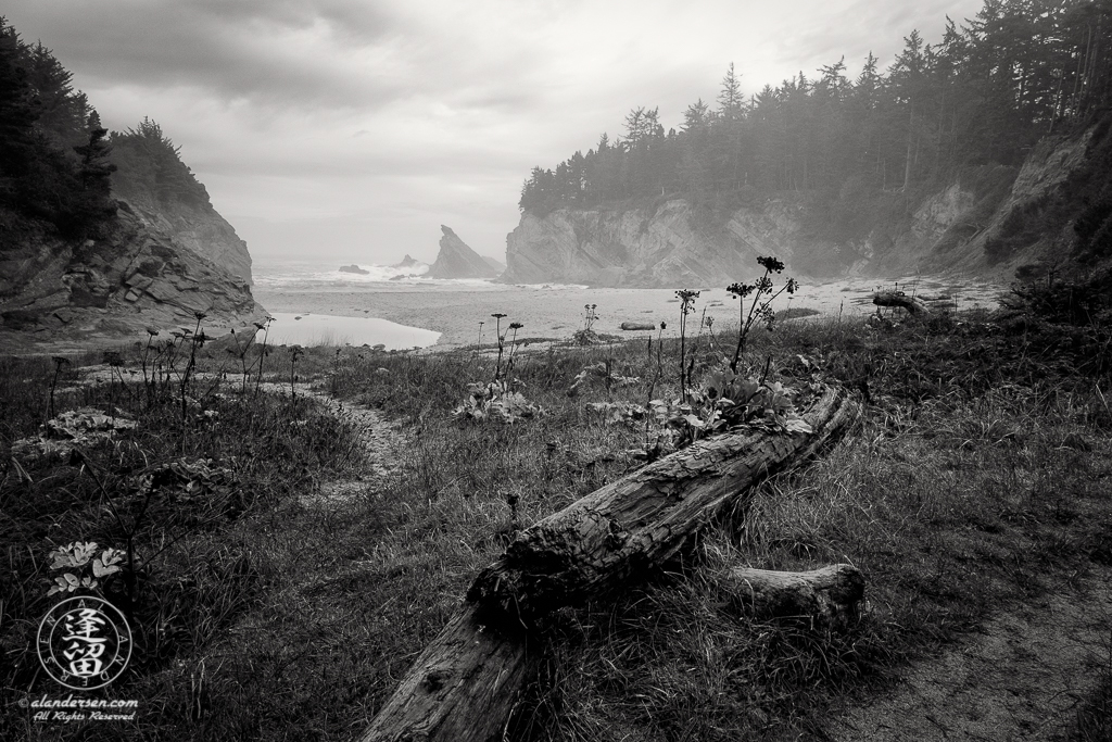 A wet and misty morning at Simpson Beach which  lies in a secluded cove just below Shore Acres State Park outside of Charleston in Oregon.