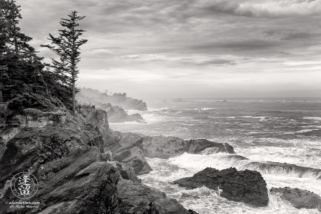 An evergreen tree atop a cliff during a storm at Shore Acres State Park outside of Charleston in Oregon.