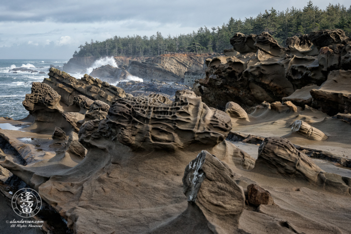 The amazing geology of the rugged cliffs at Shore Acres State Park outside of Charleston in Oregon.