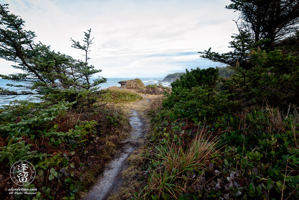 The Pacific Coast Trail, looking North toward Shore Acres State Park outside of Charleston in Oregon.