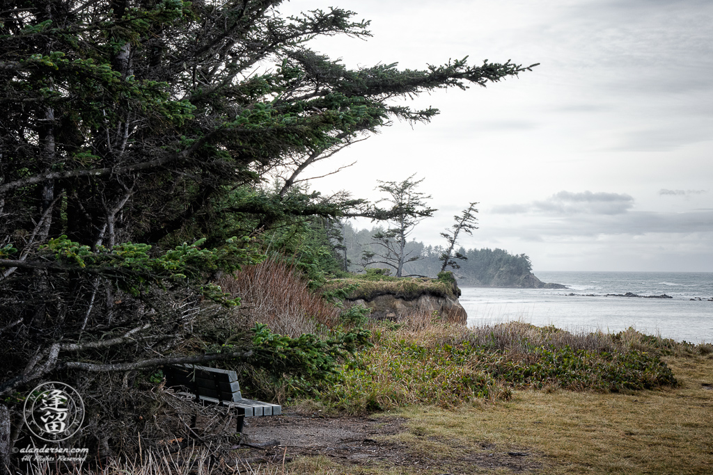 A wooden bench tucked beneath the trees provides a shady resting spot from which to watch the waves and clouds roll in near Shore Acres outside of Charleston, Oregon.