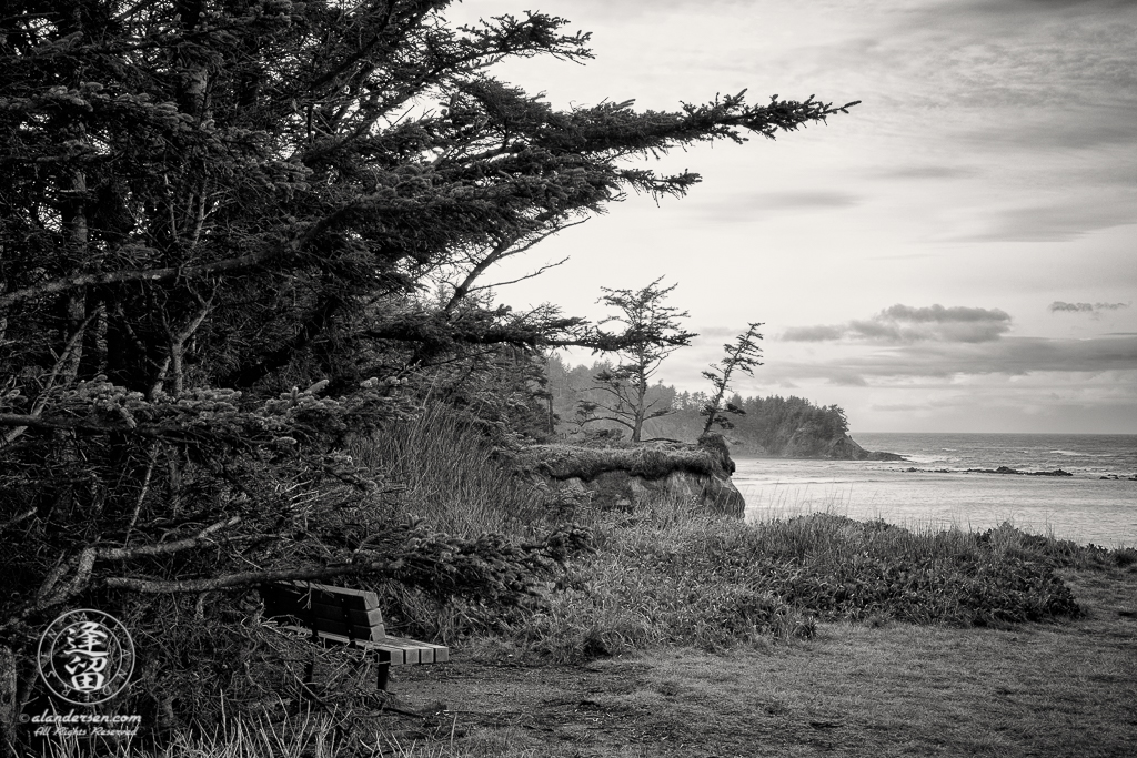 Wooden bench tucked beneath trees overlooking Pacific Ocean from atop a cliff.
