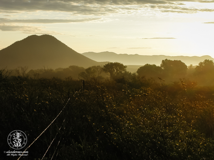 Summer sunrise over the the San Pedro River Valley.