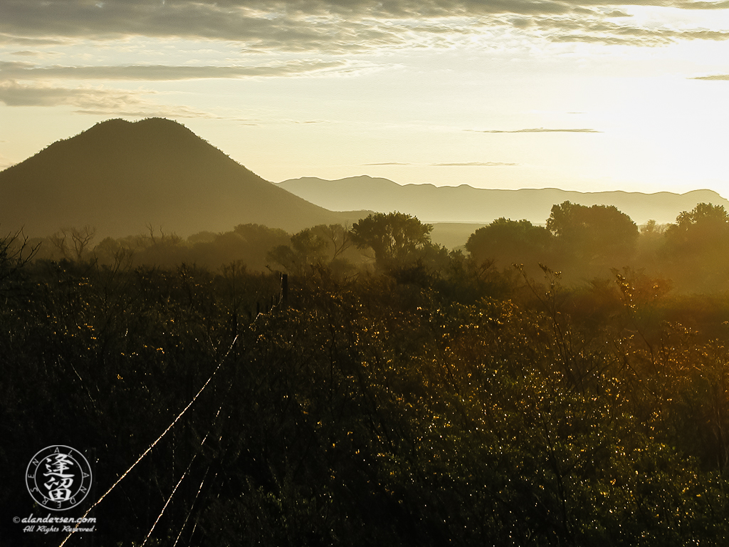 Summer sunrise over the the San Pedro River Valley.