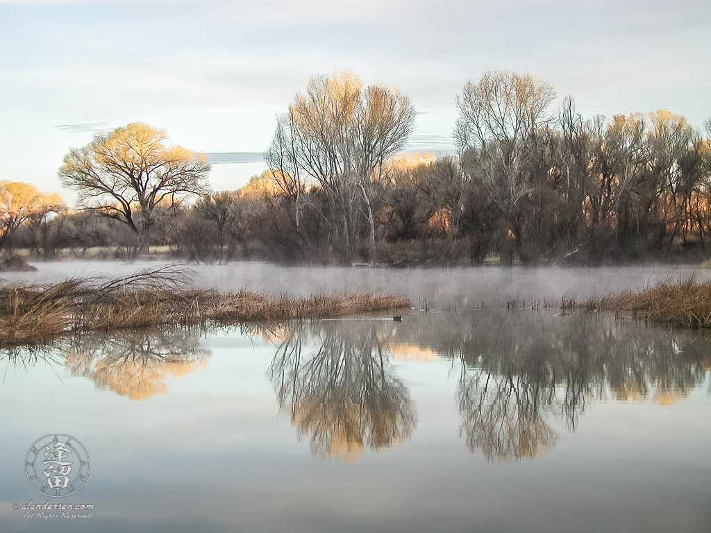 Early morning Winter mists swirling on pond.