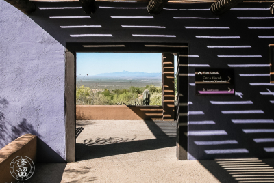 Colorful outdoor room of purples and violets with diagonal wall shadows.