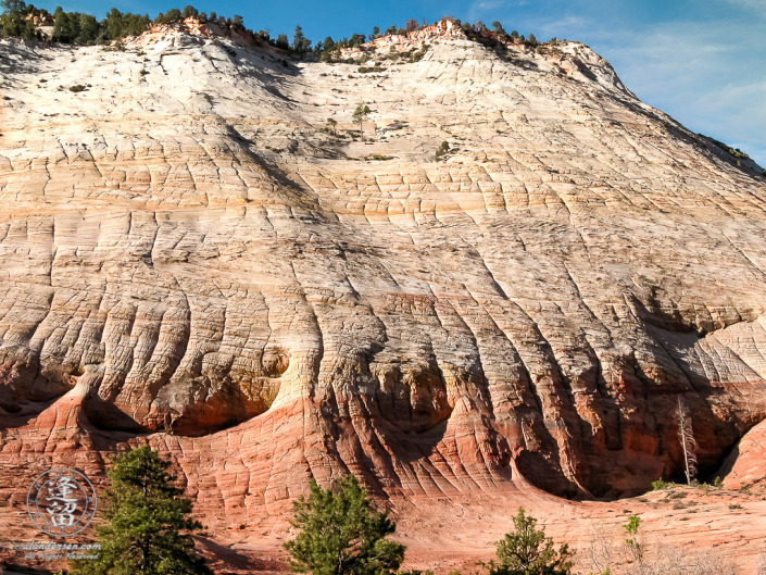 Checkerboard Mesa in the early morning light.