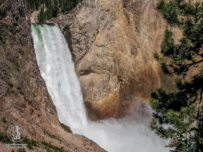 Yellowstone's Lower Falls as seen from platform at bottom of Uncle Tom's trail.