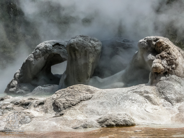 Steam rising from Grotto Geyser in Yellowstone National Park.