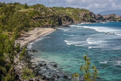 Cover image for Al Andersen Photography's Maui Gallery.