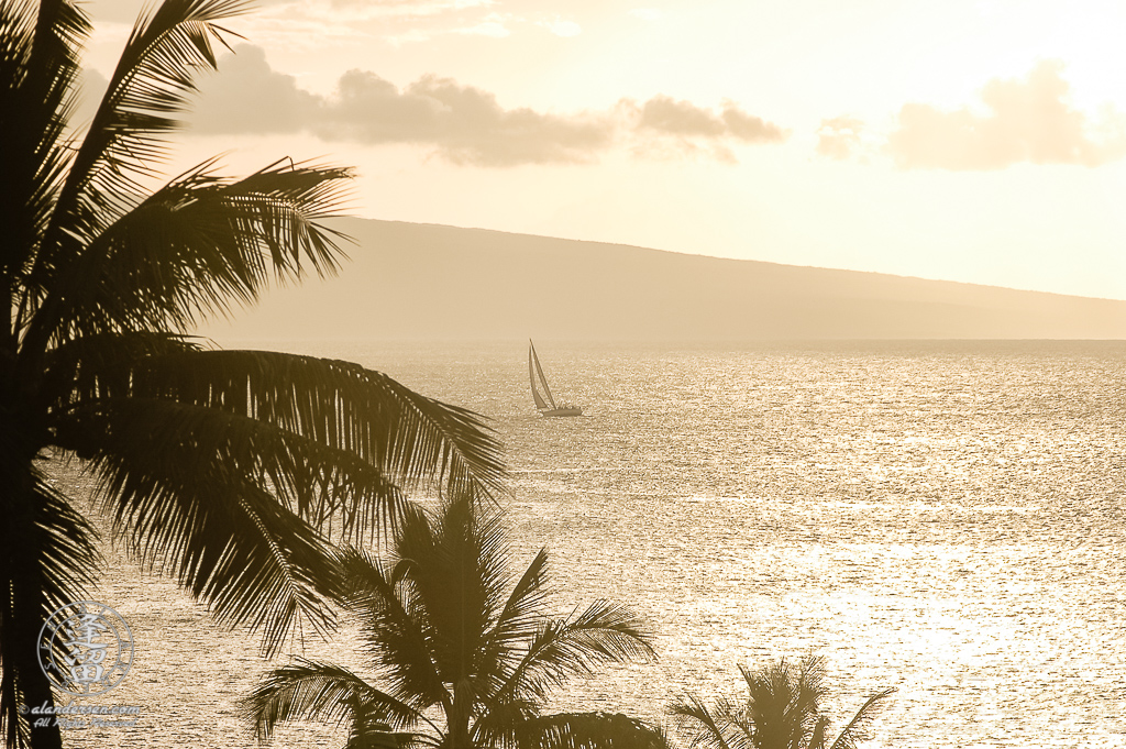 Catamaran sailing on a shimmering golden ocean at sunset.