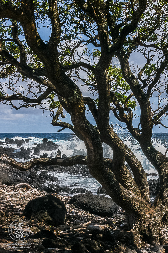 Waves crashing into jagged black lava rocks on beach at Ke'anaei.