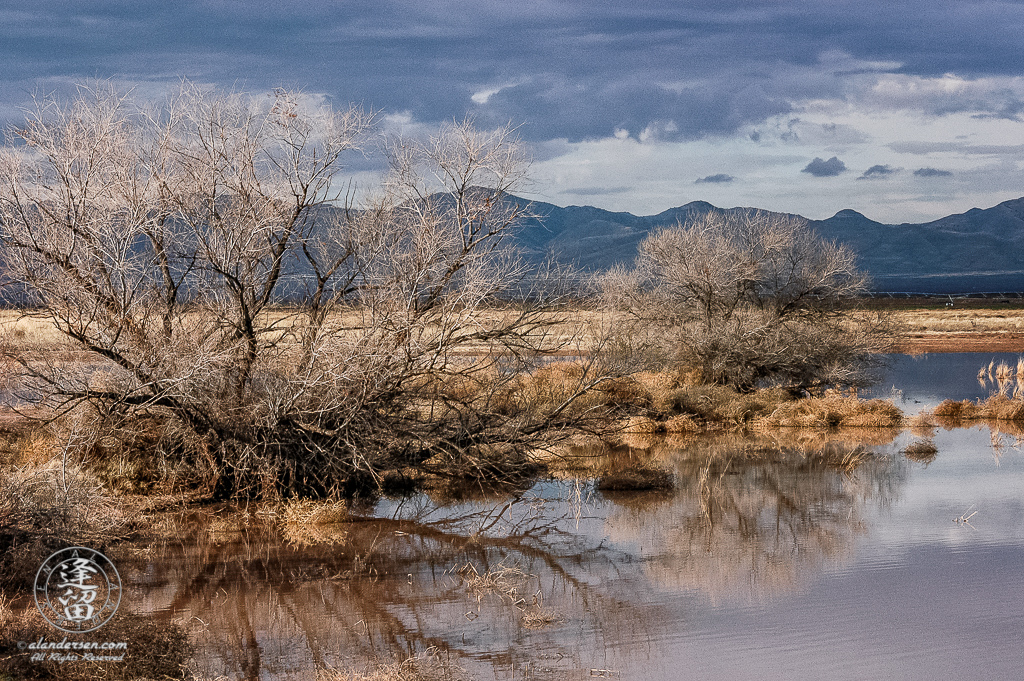 Dark clouds hang over mountains at Whitewater Draw Wildlife Area.