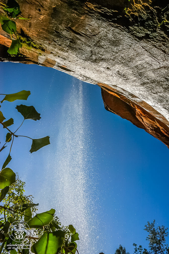 Back-lit waterfall at Lower Emerald Pool in Zion National Park.