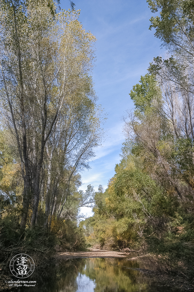 Early November late morning on the San Pedro River.