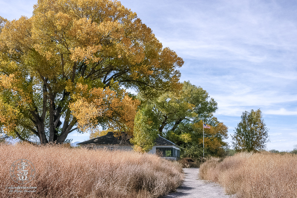 San Pedro House flanked by large Cottonwood trees.