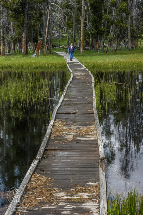 Questionable foot bridge over creek.