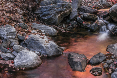 Cover image for Al Andersen Photography's Miller Canyon Gallery.