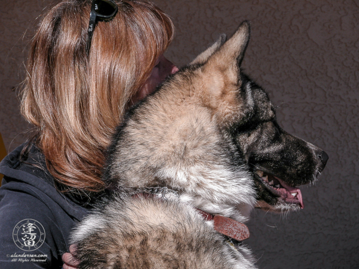 Lori and Hachi watch a rabbit scamper across the yard.