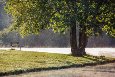 Cover image for Al Andersen Photography's Miscellaneous Ohio Gallery.