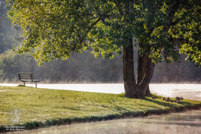 Morning mist rising from lake at Hudson Springs Park.