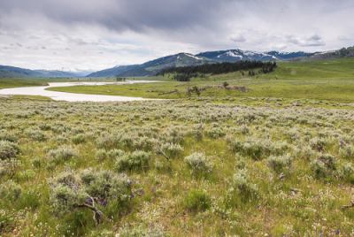 Cover image for Al Andersen Photography's Wyoming Gallery.