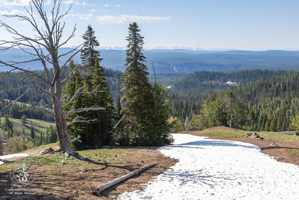 Scenic view from the rest area near Dunraven Pass.