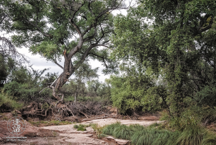 Escapule Wash after Summer Monsoon rain.