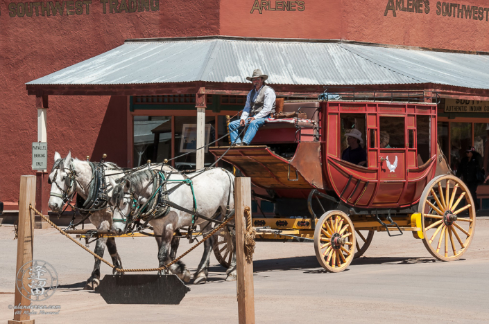 A stagecoach ride for tourists pulled by white horses.