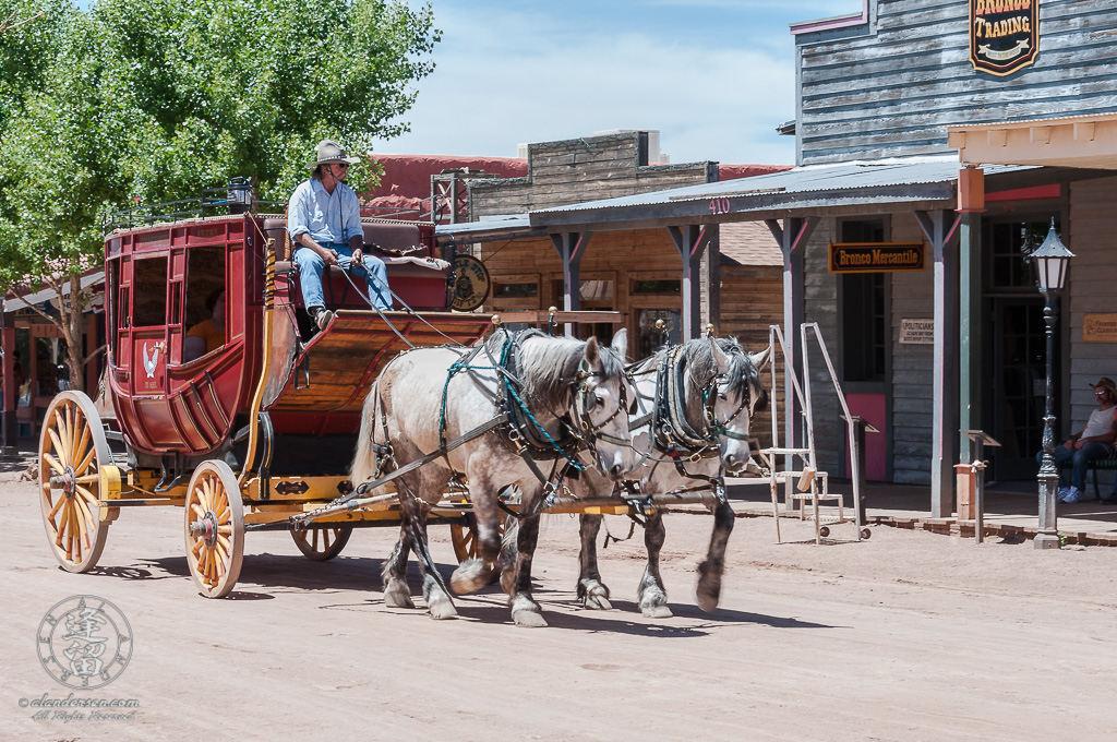 A stagecoach ride for tourists pulled by white horses.