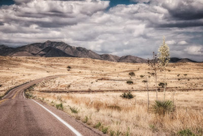 Cover image for Al Andersen Photography's Miscellaneous Arizona Gallery.