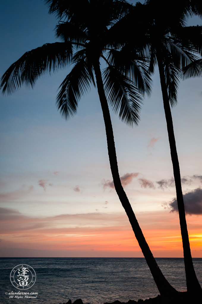 Palm trees standing in silhouette at twilight before remnants of Hawaiian sunset.