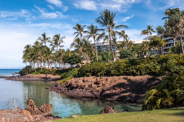 Ocean Towers and lagoon at the Hilton Waikoloai.