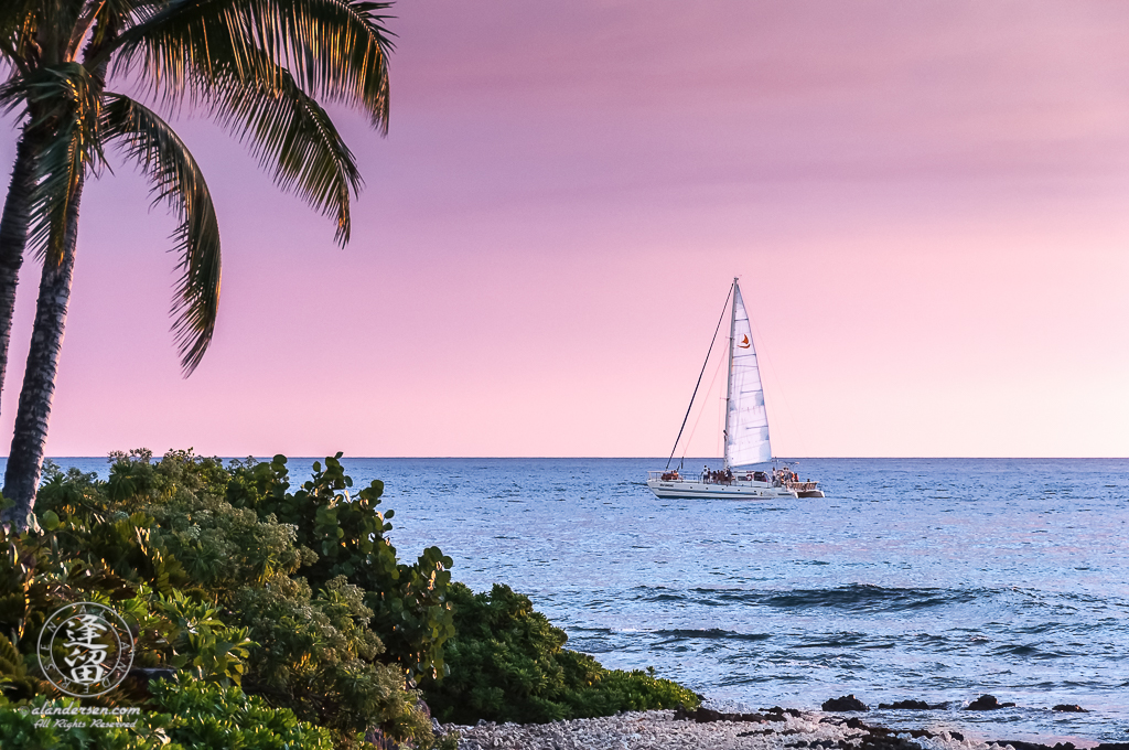 Catamaran traversing blue ocean during soft pink sunset.