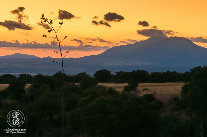 Pre-dawn in Southeastern Arizona near the international border with Mexico. The distant peak is San Jose peak near Naco, Mexico.﻿