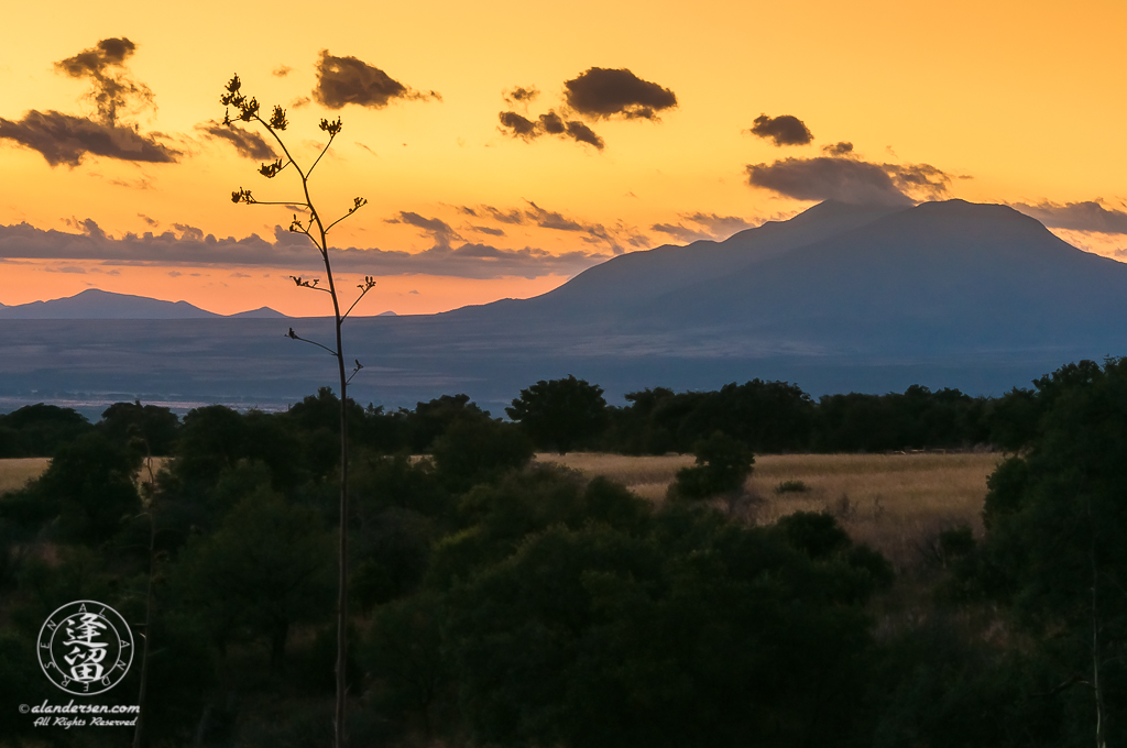 Pre-dawn in Southeastern Arizona near the international border with Mexico. The distant peak is San Jose peak near Naco, Mexico.﻿