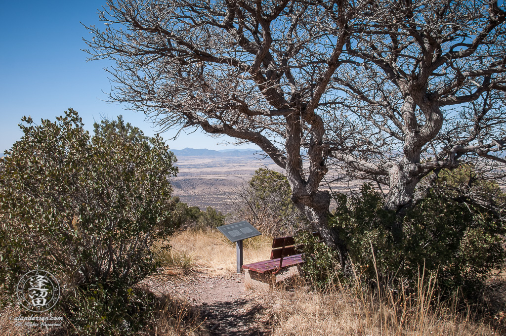 Wooden bench beneath leafless oak tree on mountainside.