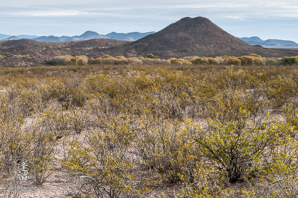 San Pedro River Valley near the ghost town of Charleston.