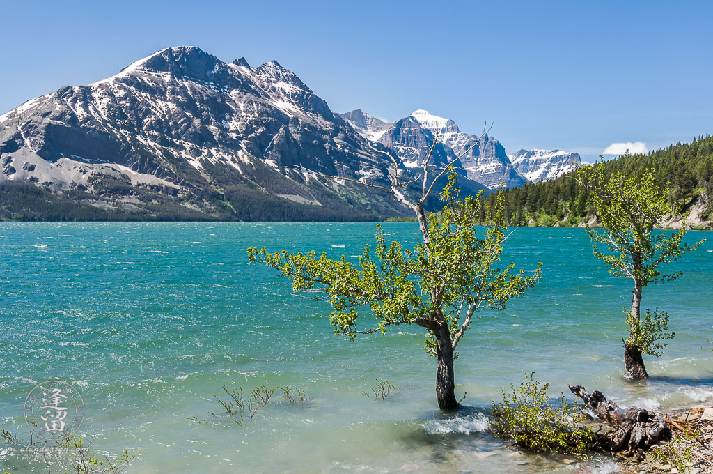 Mount Red Eagle, Mount Mahtotopa, Mount Little Chief, and Mount Dusty Star by Saint Mary's lake.