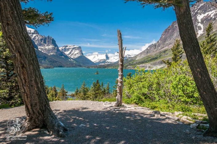 Wild Goose Island out on St. Mary's Lake framed by two tall pine trees.