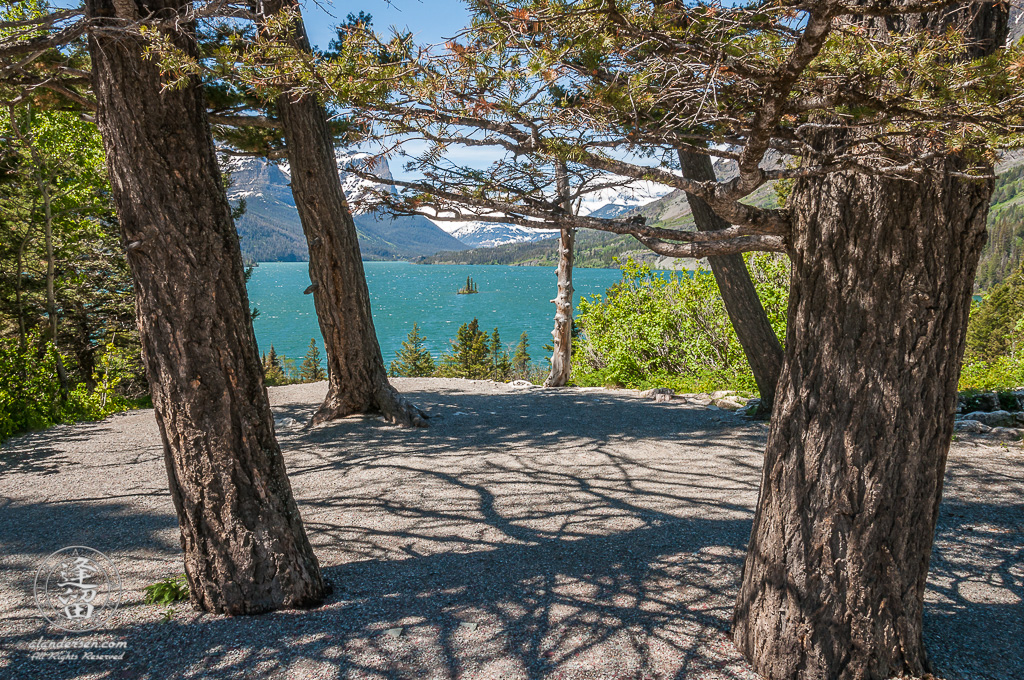 Wild Goose Island out on St. Mary's Lake framed by several tall pine trees.