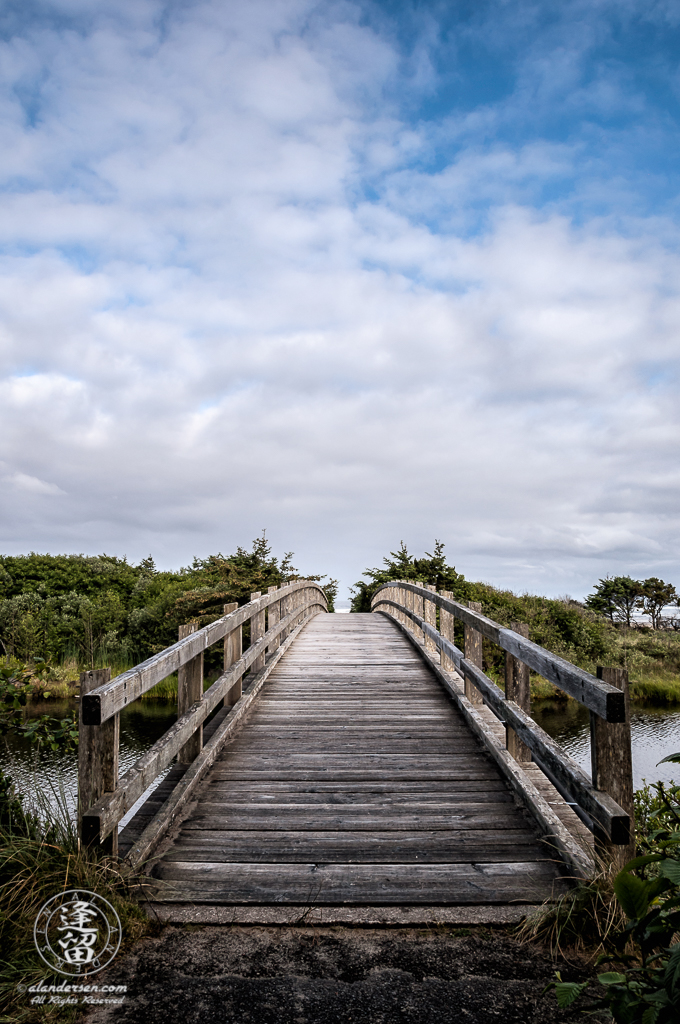 Wooden foot bridge providing access to beach at Ona Beach State Park.