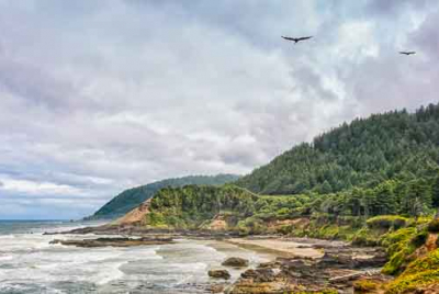 Cover image for Al Andersen Photography's Oregon Gallery.