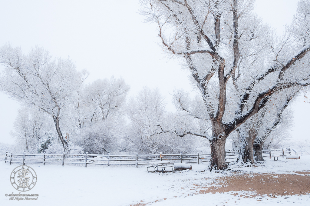 Brown Canyon Ranch main pond covered with fresh snow.