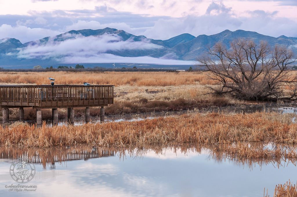 Winter morning by aquatic wildlife viewing platform.