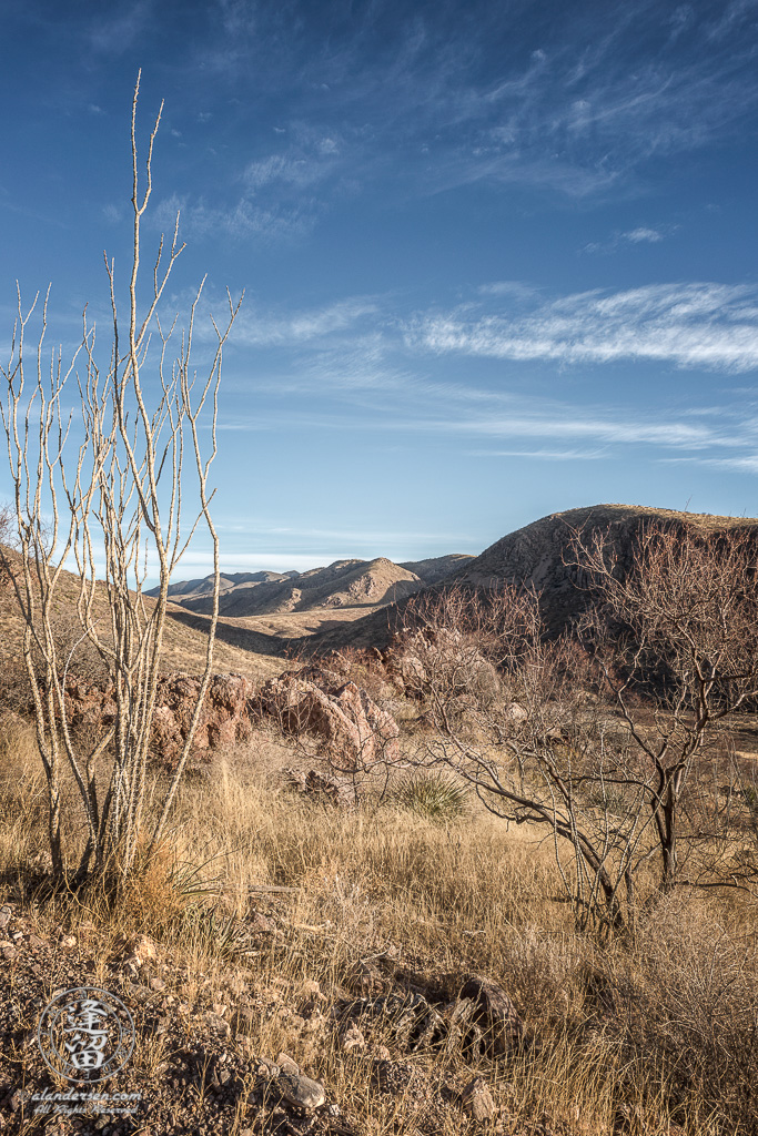 A view of Leslie Canyon as seen from the highest point of the access road.