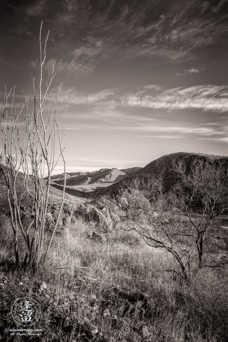 A view of Leslie Canyon as seen from the highest point of the access road.