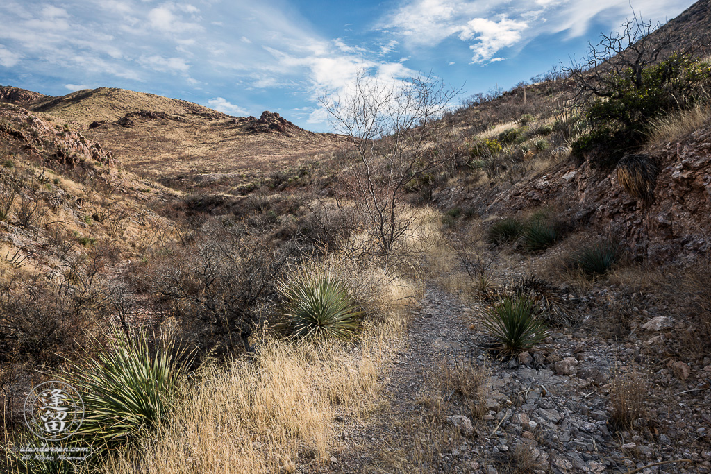 A view of the old mining road that goes from the bottom of Leslie Canyon up to the top of the ridge.